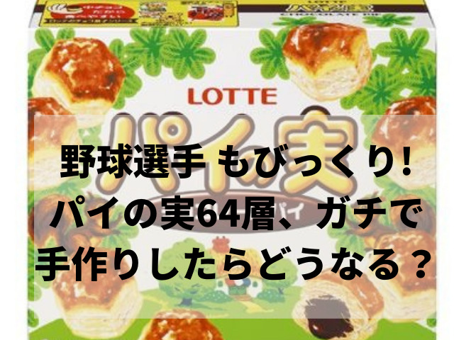 野球選手もびっくり パイの実64層ガチで手作りすると どうなる スイーツ大陸