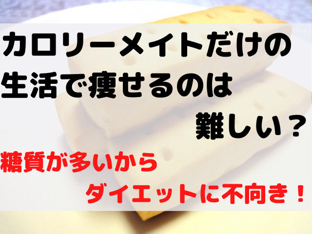 カロリーメイトだけの生活で痩せるのは難しい 糖質が多いからダイエットに不向き スイーツ大陸