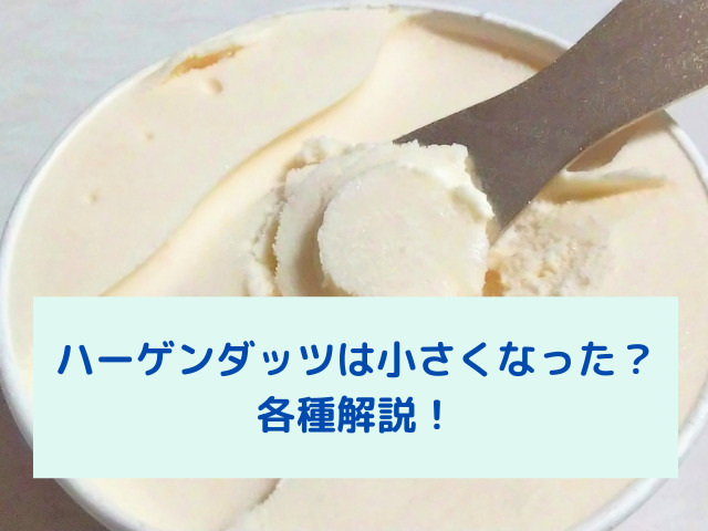 ハーゲンダッツは小さくなった 各種類ごとに内容量を比較してみた スイーツ大陸