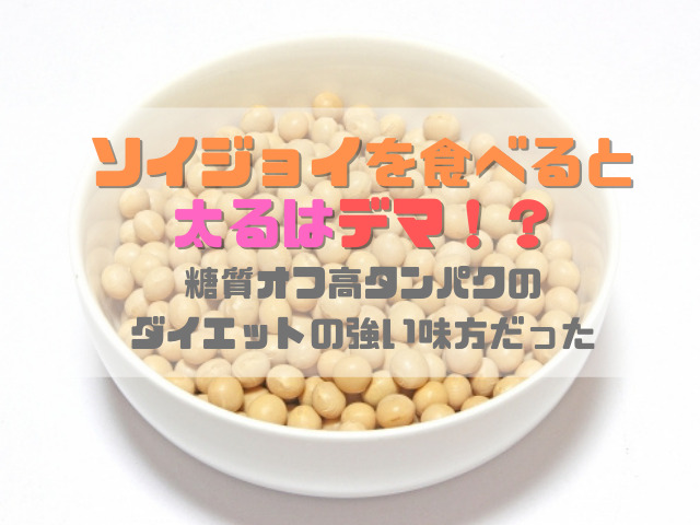 ソイジョイを食べると太るはデマ 糖質オフ高タンパクのダイエットの強い味方だった スイーツ大陸