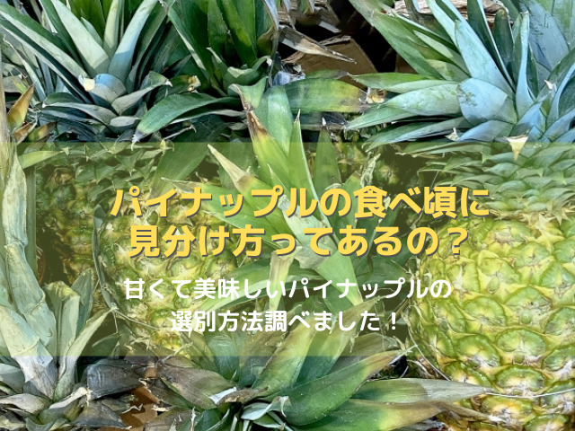 パイナップルの食べ頃に見分け方ってあるの 甘くて美味しいパイナップルの選別方法調べました スイーツ大陸