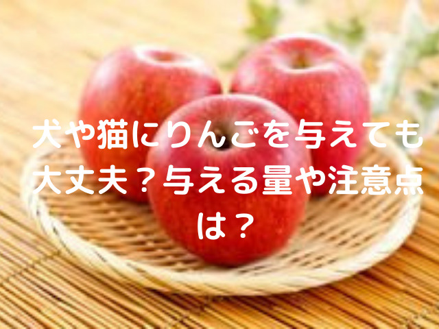 犬や猫にりんごを与えても大丈夫 与える量や注意点は スイーツ大陸